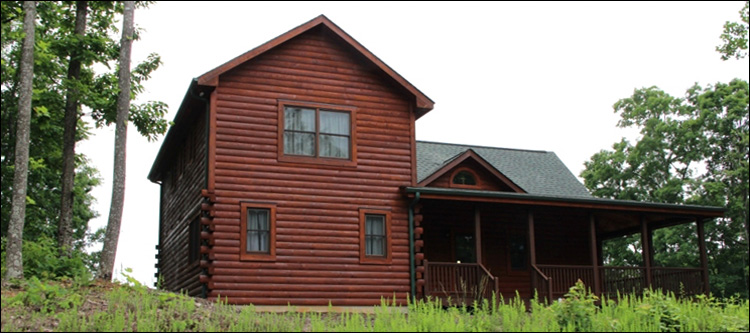 Professional Log Home Borate Application  Cheriton, Virginia